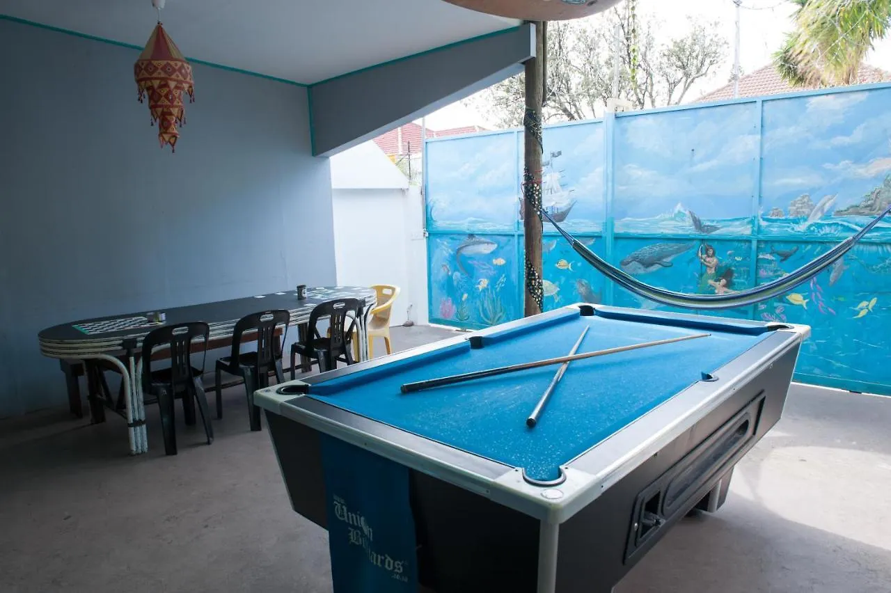 Big Blue Backpackers Hostel Cape Town South Africa